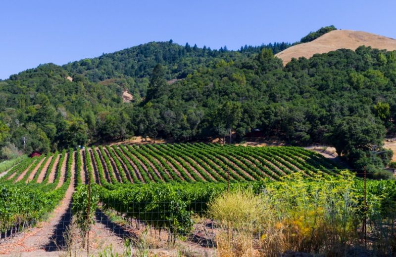 Best Bathroom Remodeling pros in Sonoma, CA